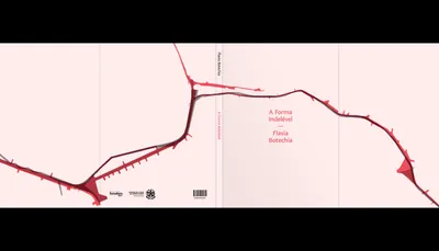 Primeira e quarta capas do livro