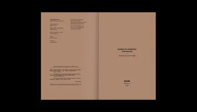 Diário do Hospício