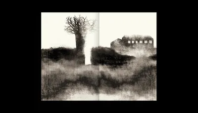 Diário do Hospício