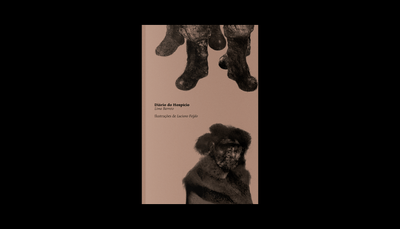 Diário do Hospício