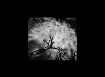 Grão — Território Percussivo